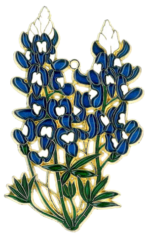 Texas Bluebonnets (image for) Texas Bluebonnets
